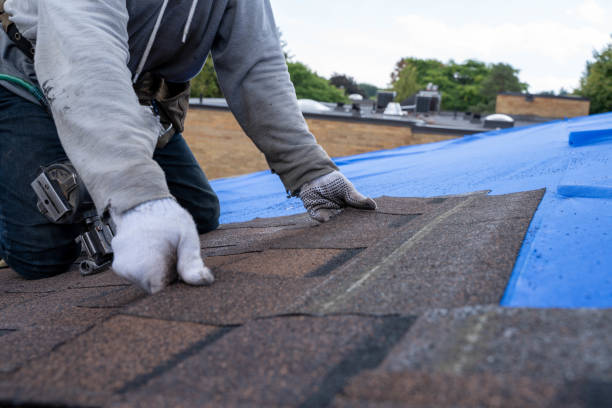 Best Gutter Installation and Roofing  in Millville, UT