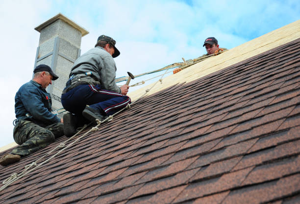 Best Roof Maintenance Services  in Millville, UT